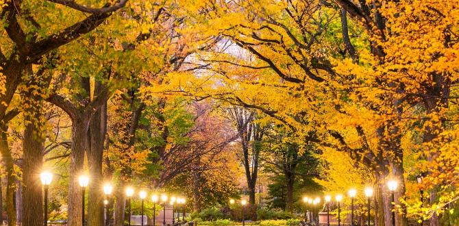 Central Park | New York | Turisanda