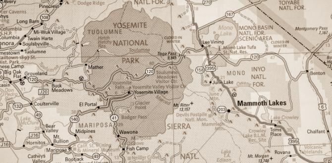 Mappa Yosemite Park, Stati Uniti | Turisanda