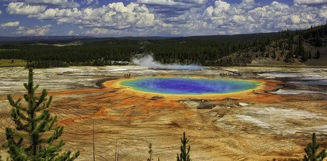 Yellowstone National Park | Stati Uniti | Turisanda