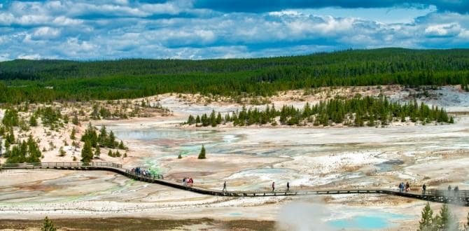 Yellowstone, Stati Uniti | Turisanda