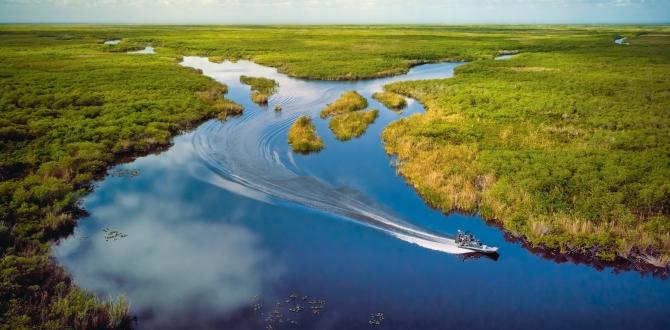 Everglades in Florida | Stati Uniti | Turisanda