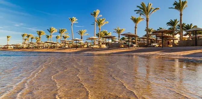 Novembre in Egitto | Turisanda