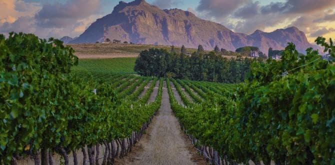 Sudafrica | Turisanda