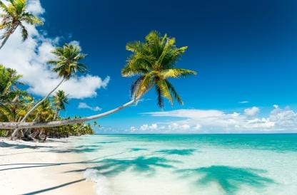 Spiaggia con palme | Polinesia | Turisanda