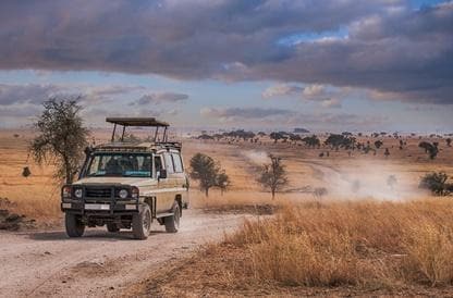 Safari, Tanzania | Offerte viaggi Agosto | Turisanda