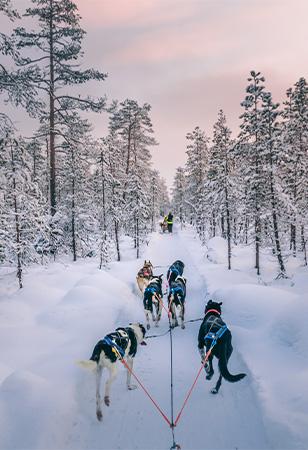 Short Break, Finlandia | Turisanda