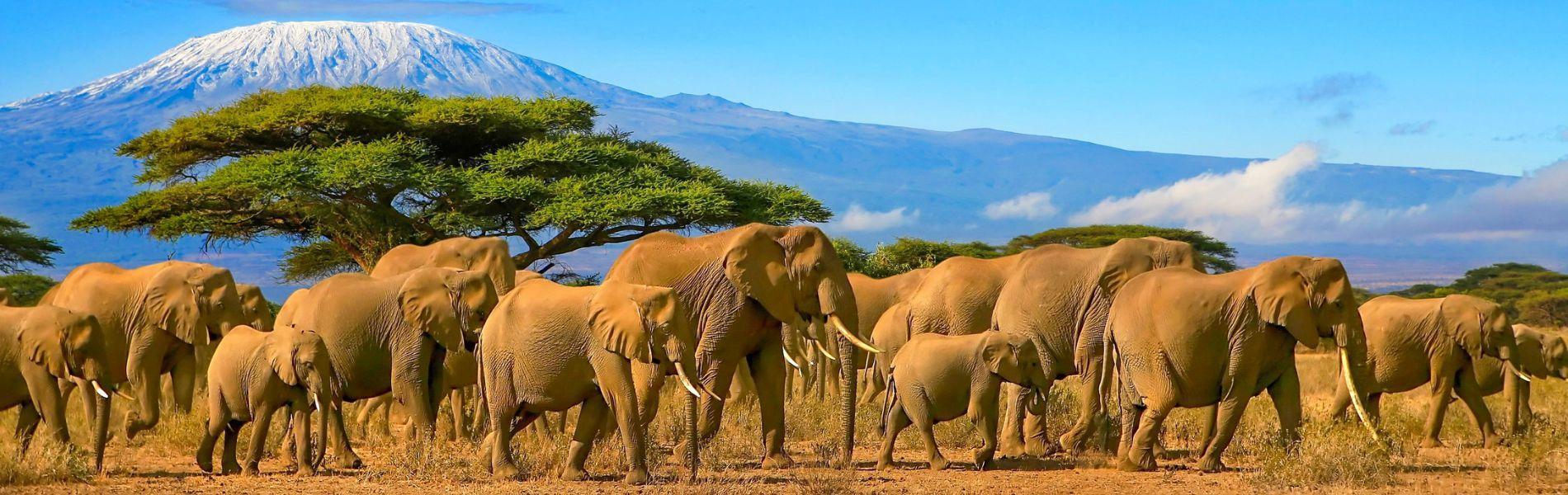 Kenya | Volo più hotel | Turisanda