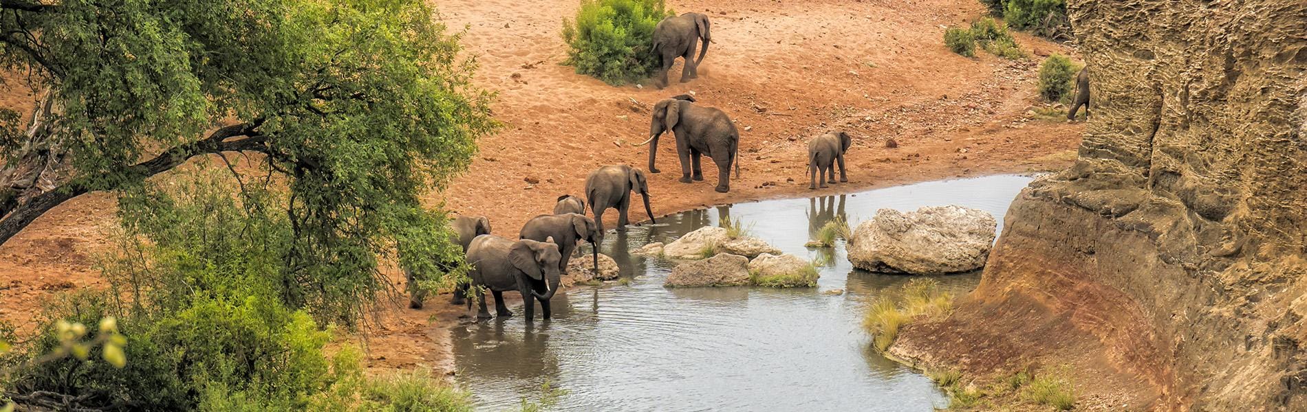 Safari Sudafrica