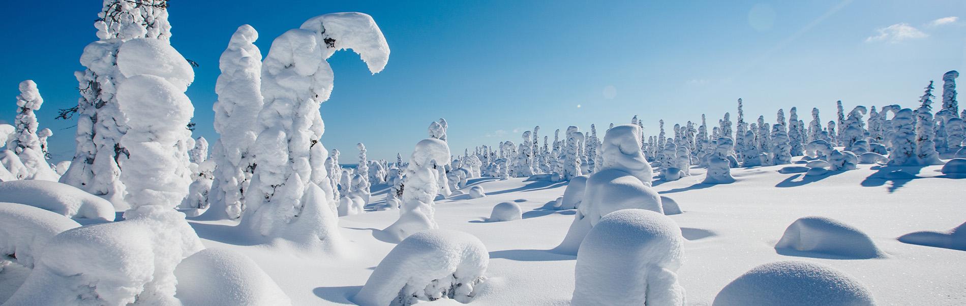 FInlandia | Tour dicembre | Turisanda
