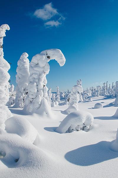 FInlandia | Tour dicembre | Turisanda