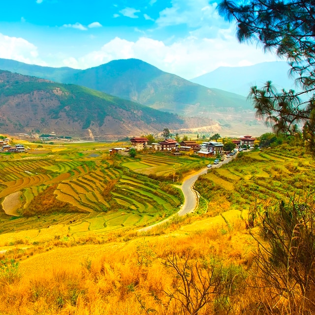 Pacchetti vacanze Bhutan