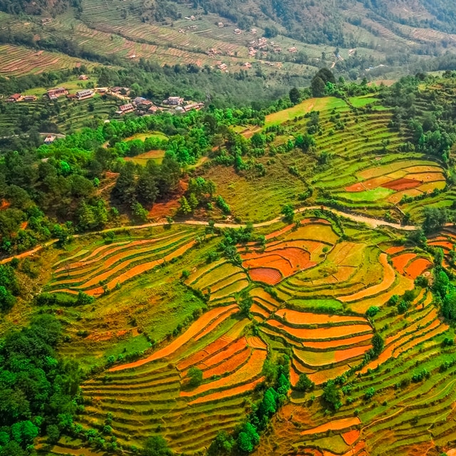 Pacchetti vacanze Nepal