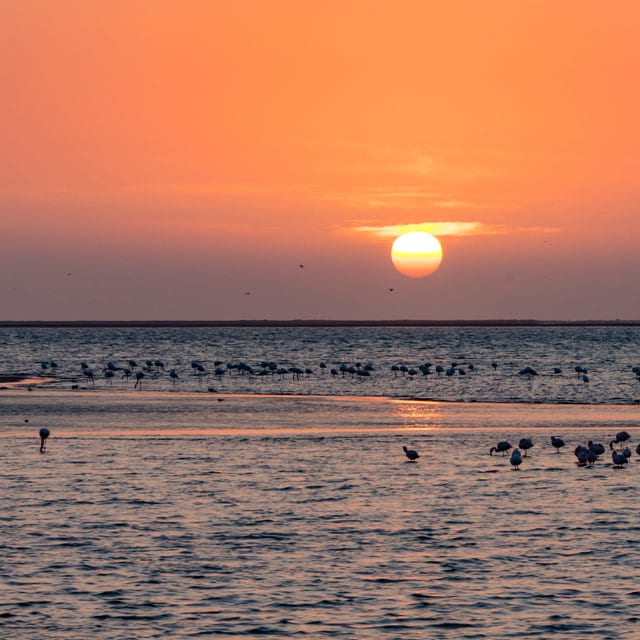 Pacchetti vacanze Namibia