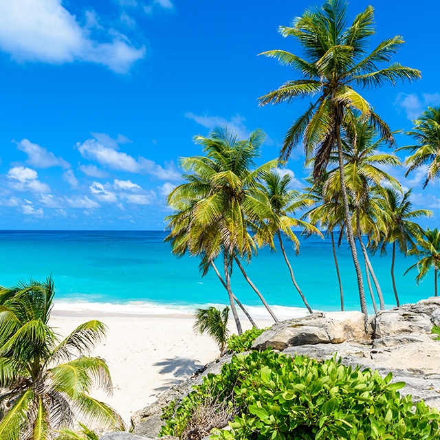 Bridgetown, Barbados Voli economici, hotel, luoghi da vedere