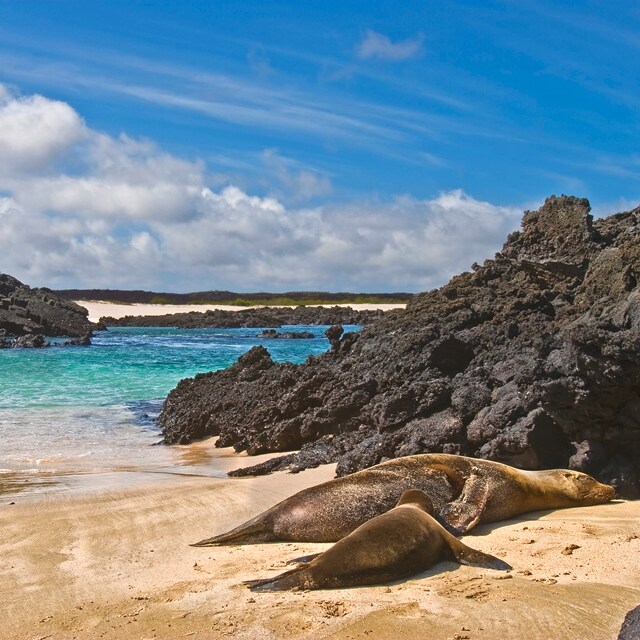 Pacchetti vacanze Ecuador e Galapagos
