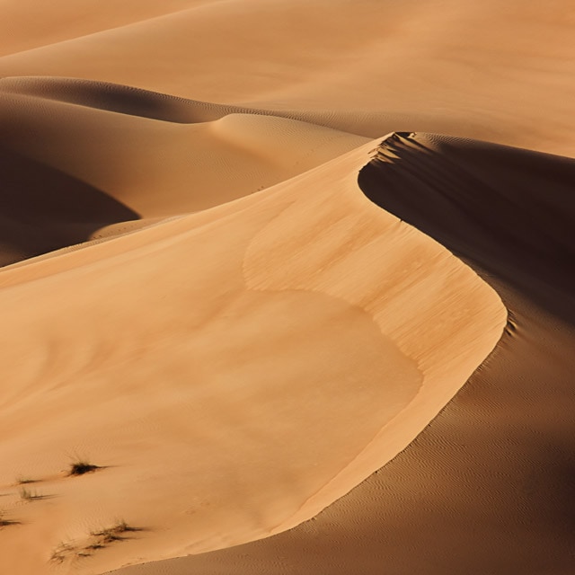 Pacchetti vacanze Emirati Arabi