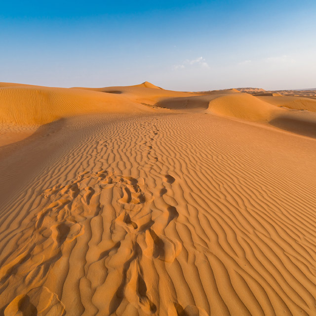 Pacchetti vacanze Oman