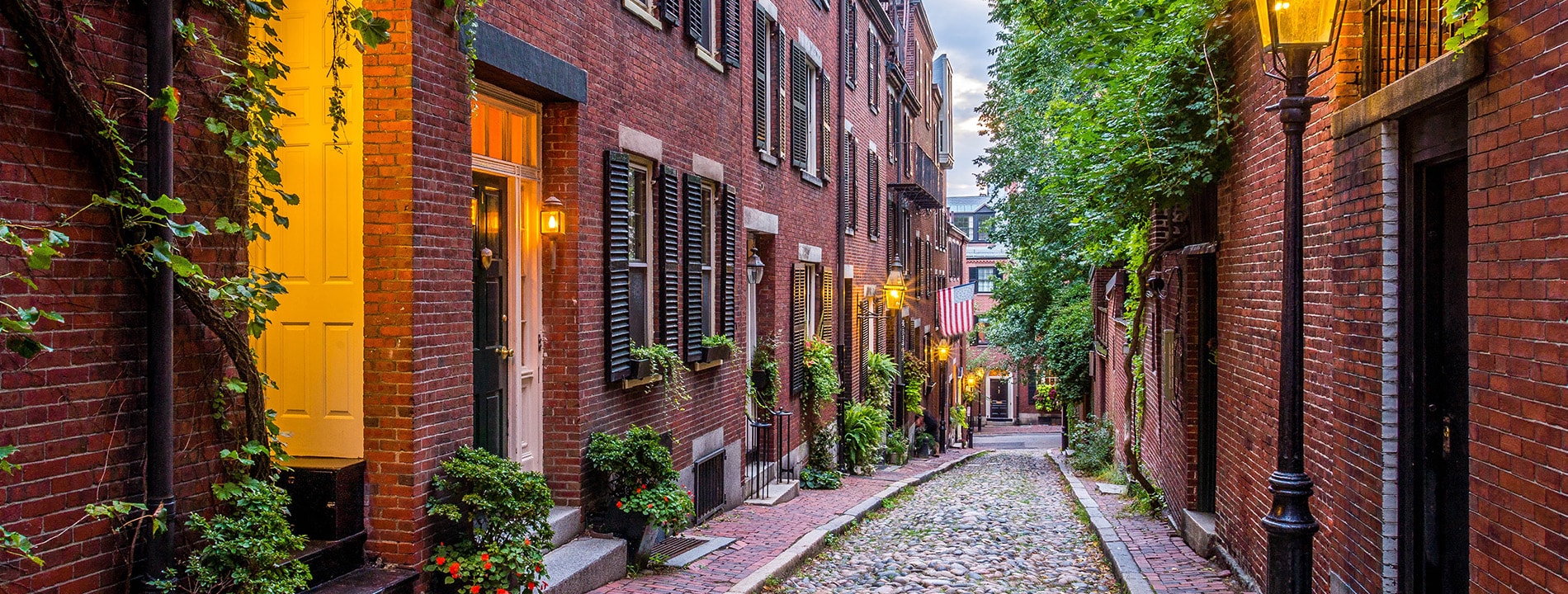 <p>Dettaglio Acorn Street</p>

