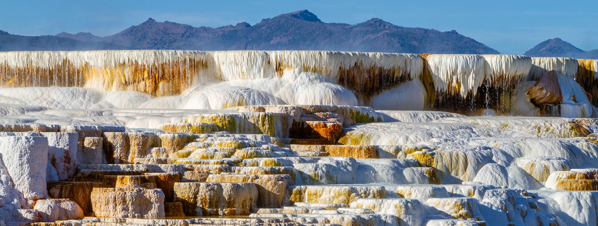 Mammoth Hot Springs