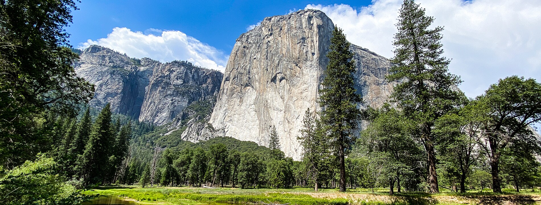 <p>El Capitan</p>
