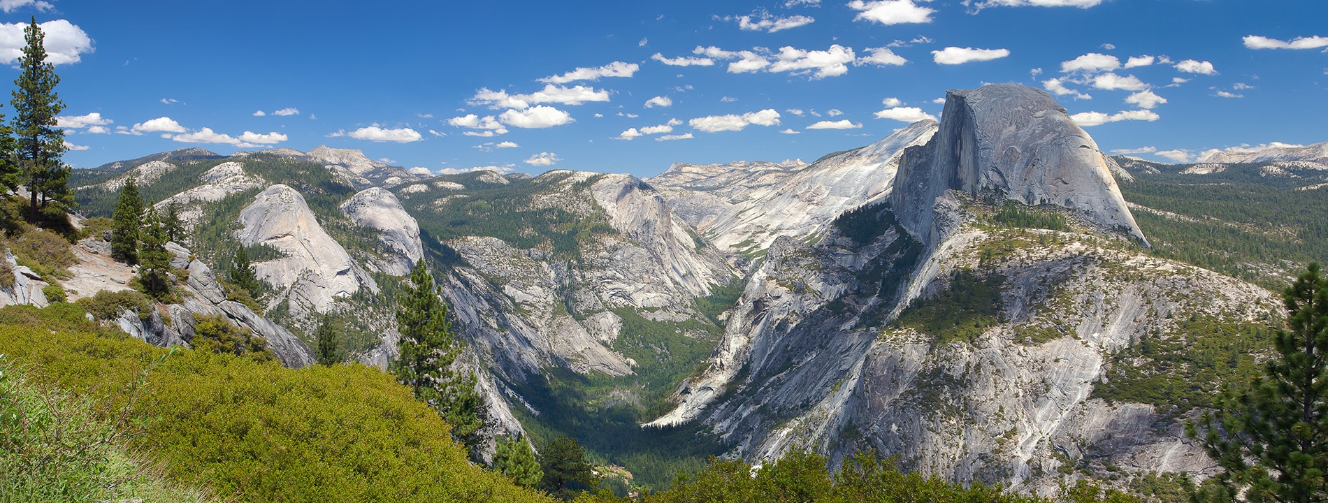 <p>Half Dome</p>
