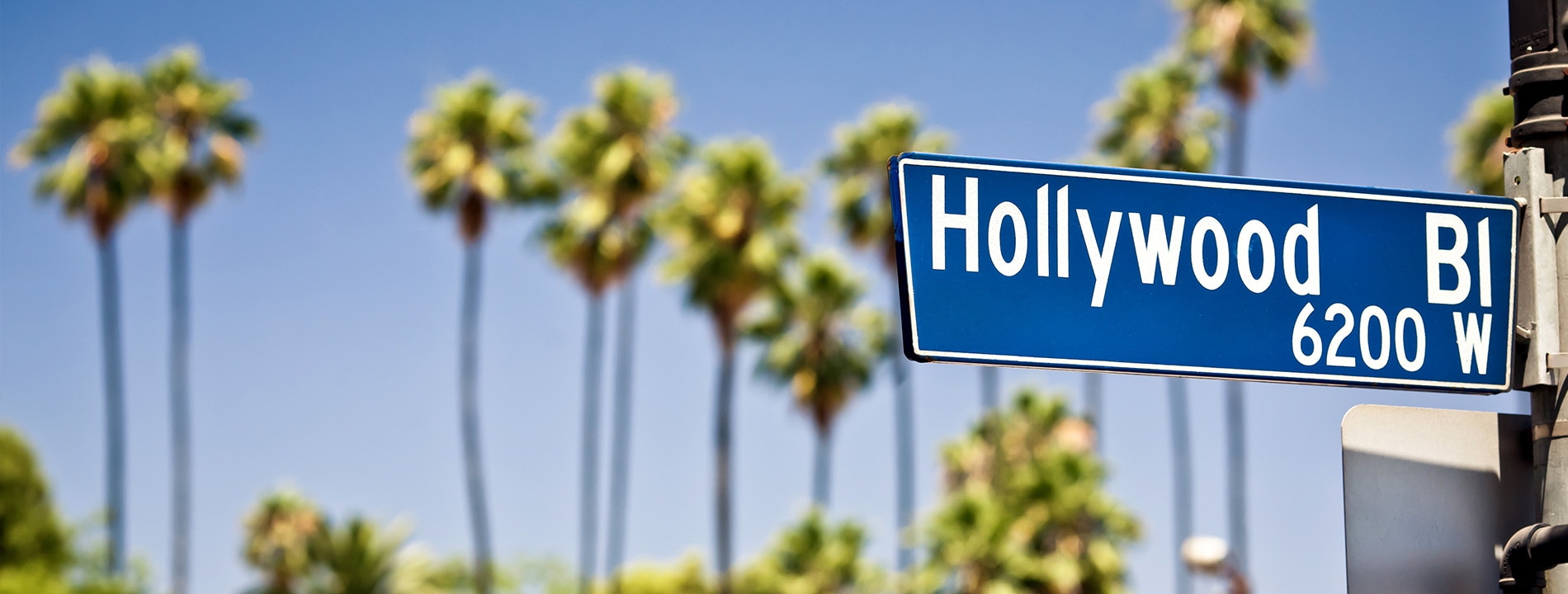 <p>Dettaglio Hollywood Boulevard</p>

