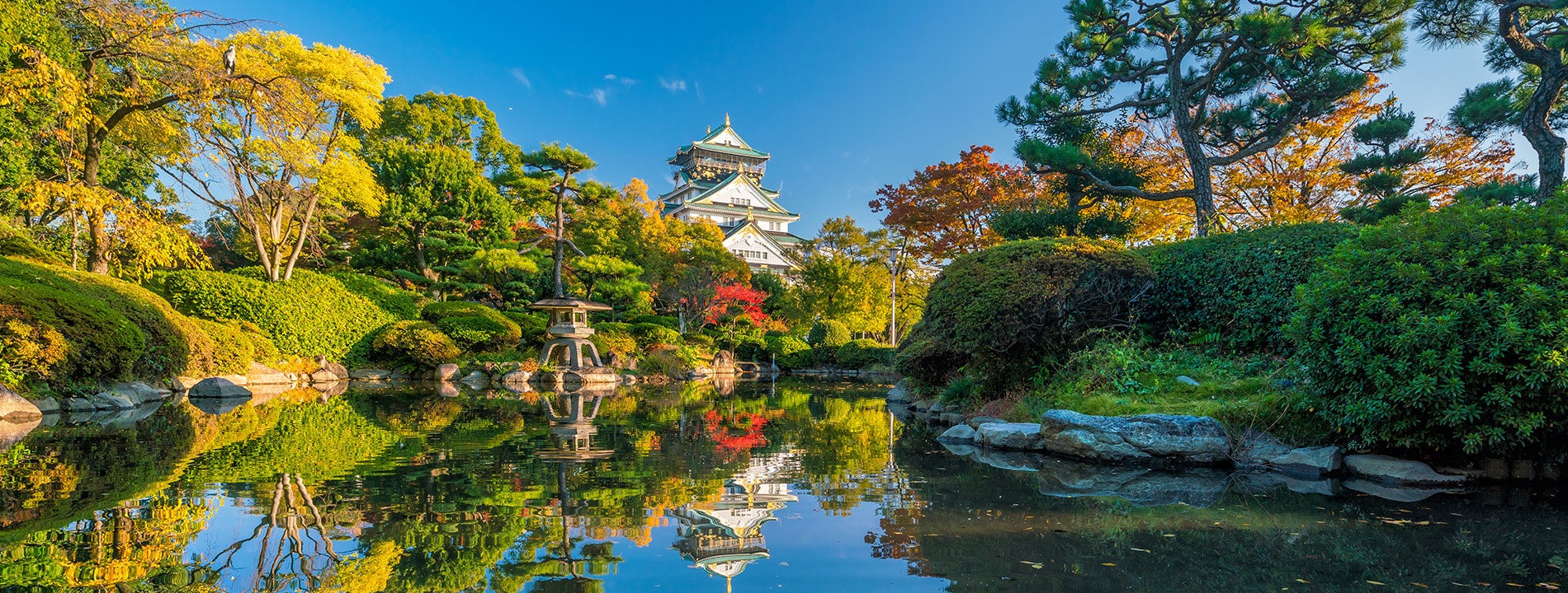 Giardino Nishinomaru e Castello di Osaka