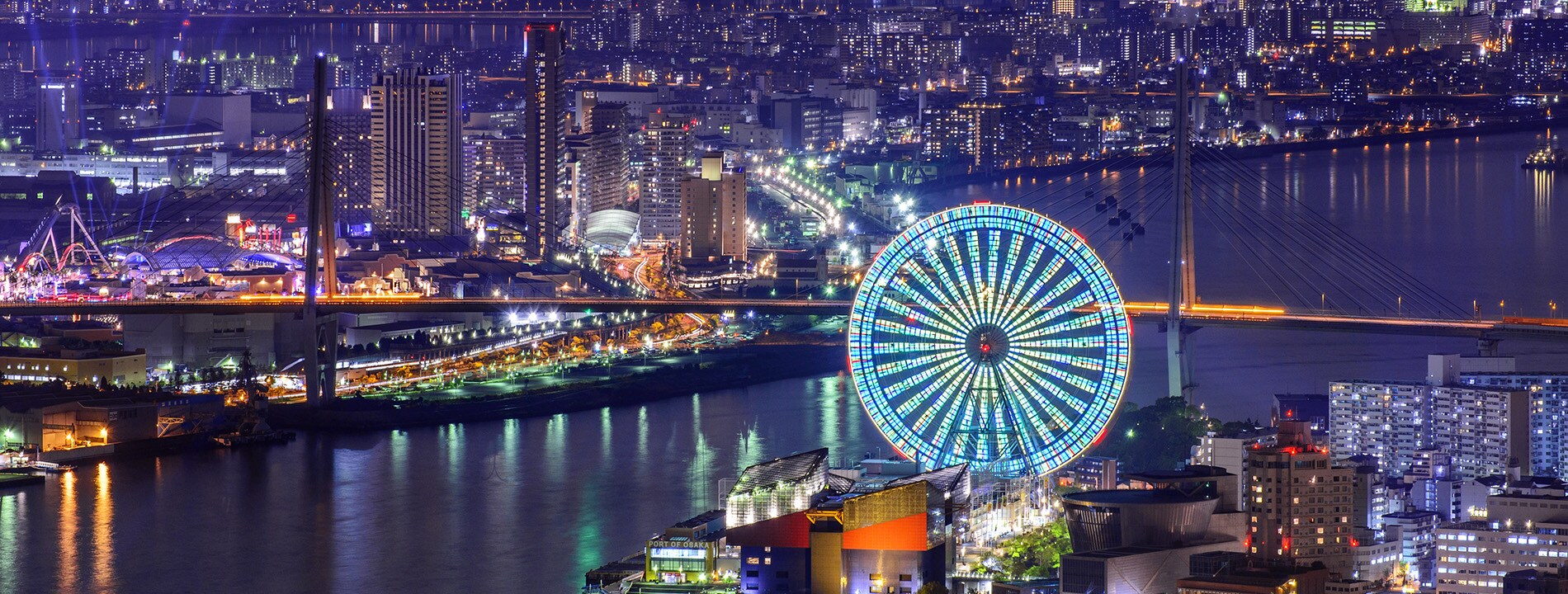 <p>Vista notturna di Osaka</p>

