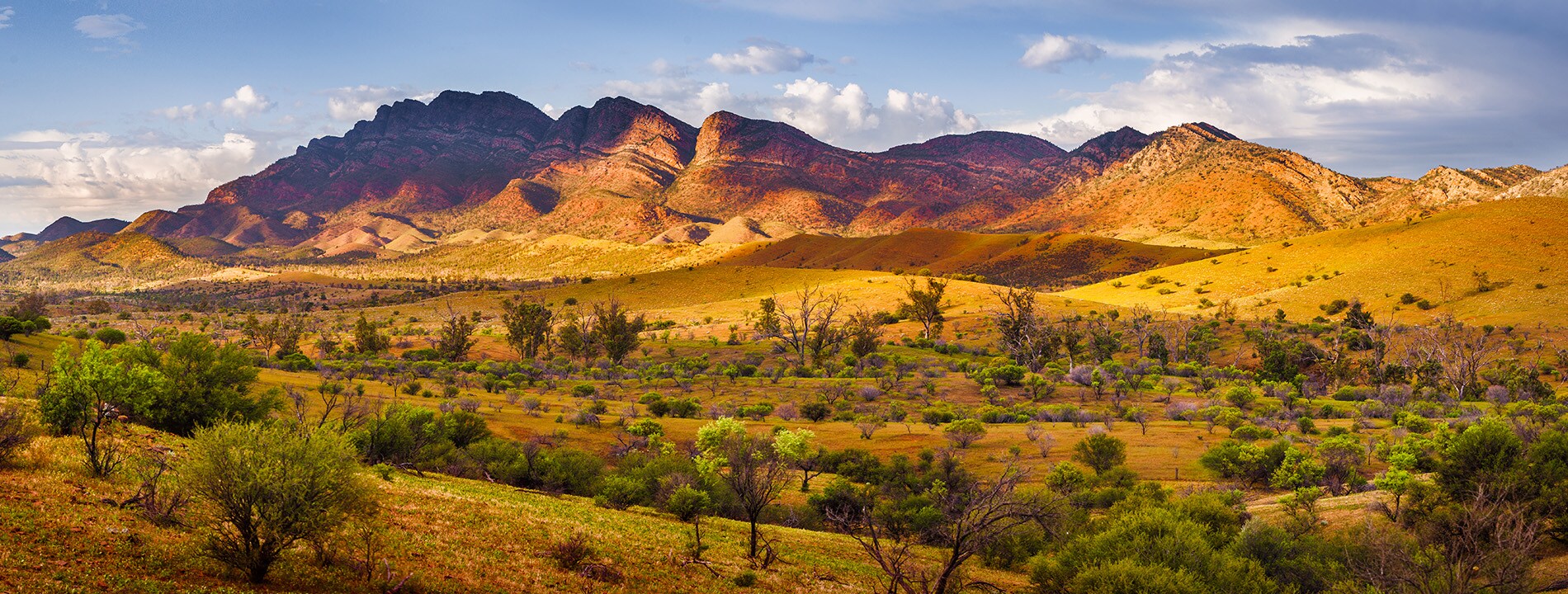 <p>Flinders Ranges</p>
