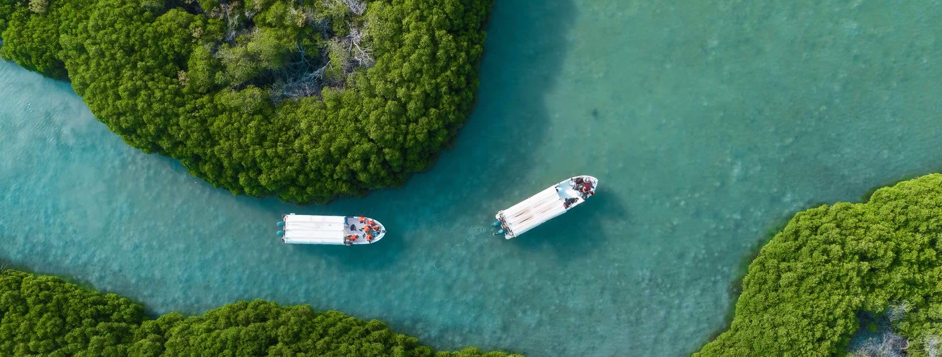 <p style="text-align:justify">Le <u>Isole&nbsp;Farasan</u>, situate a circa 40 km al largo della costa di Jizan nel Mar Rosso, sono un piccolo gruppo di isole coralline.</p>

