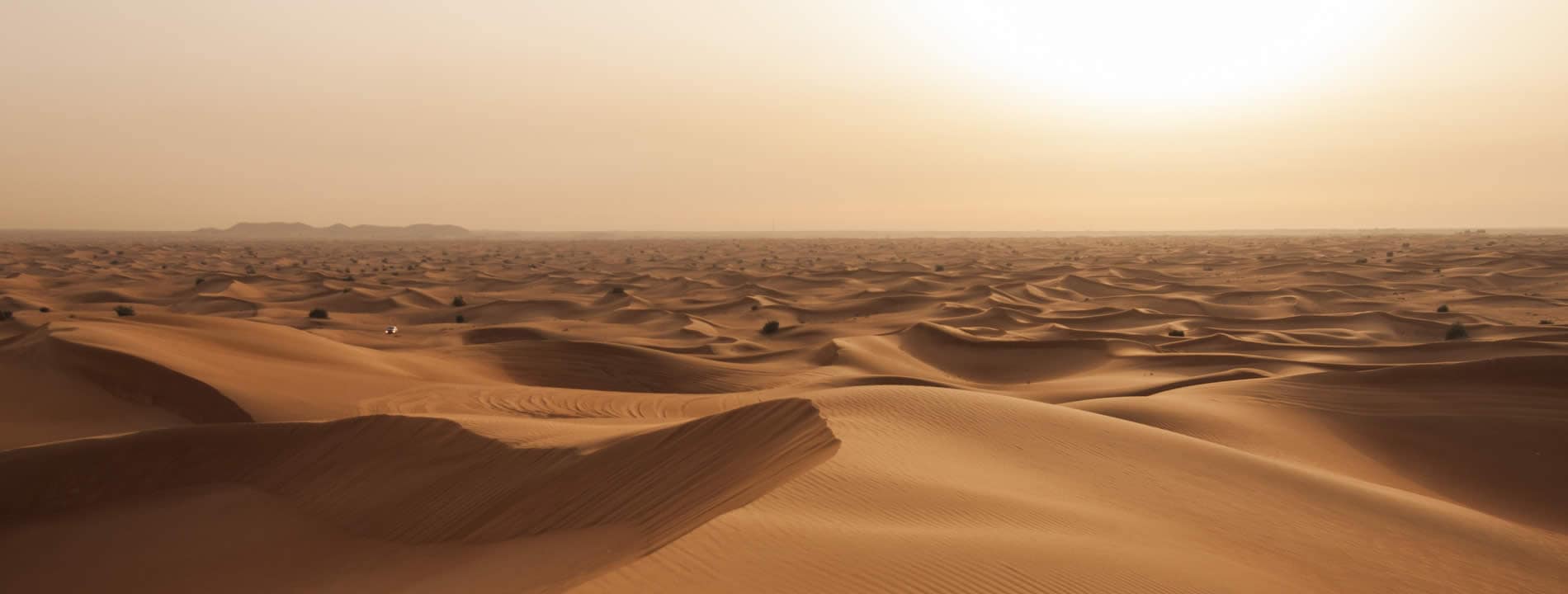 <p>La <strong><u>Dubai Desert Conservation Reserve</u></strong> &egrave; una delle pi&ugrave; grandi aree protette degli Emirati Arabi ed &egrave; famosa in tutto il mondo per i paesaggi mozzafiato che regala.</p>
