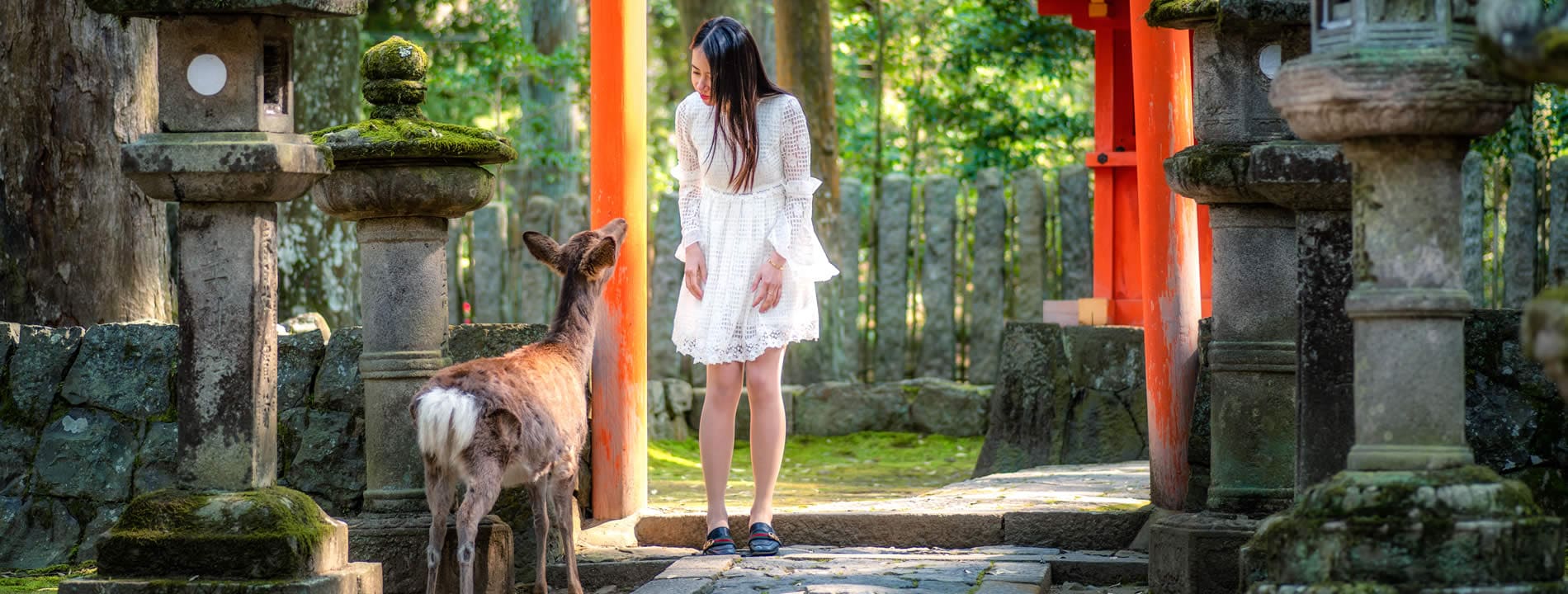 <p style="text-align:justify"><u><strong>Nara</strong></u>, conosciuta come una delle antiche capitali del Giappone e considerata <strong><u>Patrimonio dell&rsquo;Umanit&agrave; UNESCO</u></strong> dal 1998, ospita alcuni dei templi pi&ugrave; famosi del Paese e un immenso parco popolato da cervi e cerbiatti.</p>

