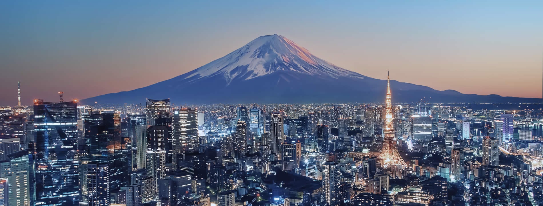<p style="text-align:justify"><u><strong>Tokyo</strong></u>, la capitale del Giappone, &egrave; una metropoli suddivisa in 23 quartieri speciali.&nbsp;<strong>Shinjuku </strong>e&nbsp;<strong>Shibuya,&nbsp;Akihabara </strong>e&nbsp;<strong>Asakusa</strong> sono solo alcuni dei quartieri da non perdere!</p>
