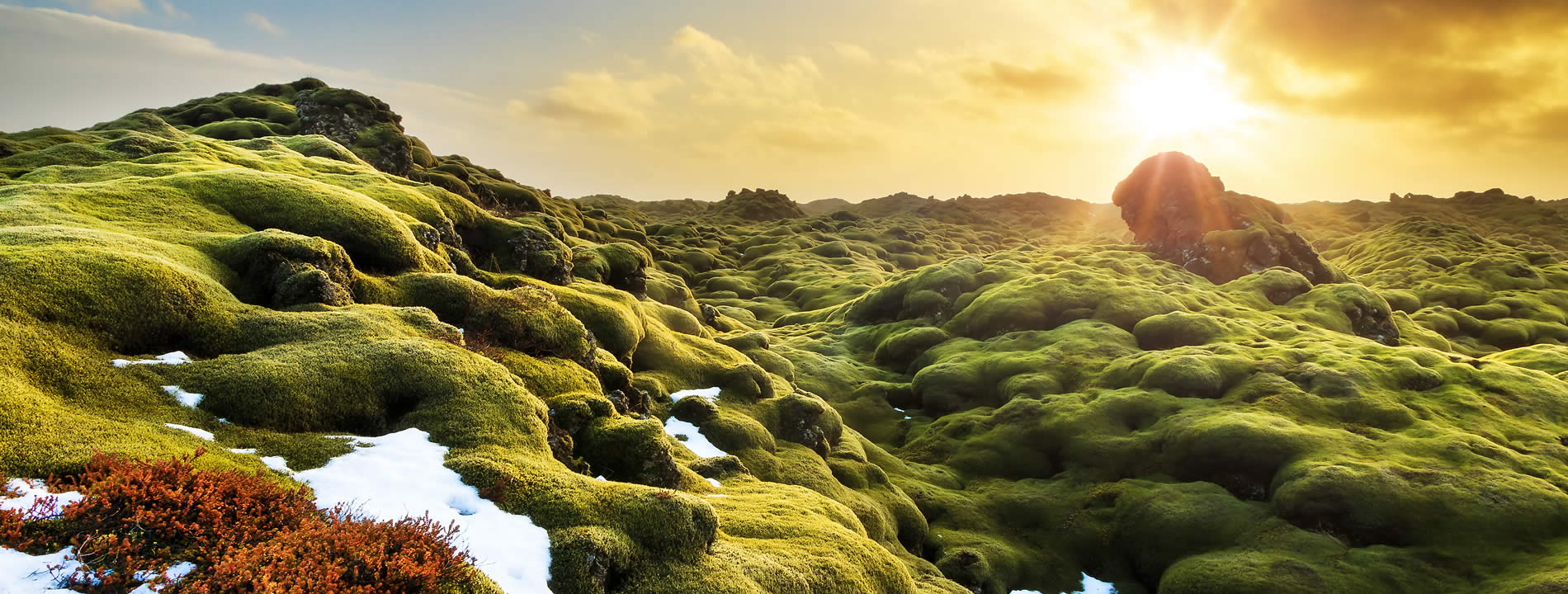 <p style="text-align:justify">Il campo di lava di <u><strong>Eldhraun</strong></u> &egrave; il campo di lava pi&ugrave; grande del mondo e si form&ograve; dopo un&rsquo;eruzione durata un anno nel XVIII. L&rsquo;area &egrave; totalmente ricoperta di muschio verde ed &egrave; uno dei luoghi pi&ugrave; fotografati d&rsquo;Islanda.</p>
