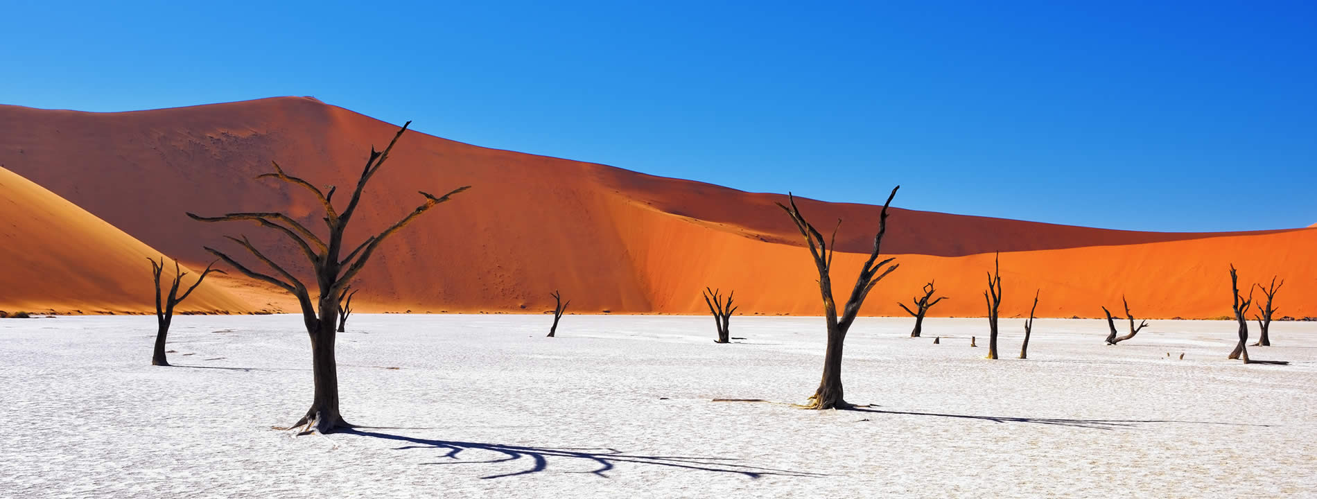 <p>Il <u><strong>Parco Nazionale Namib Naukluft</strong></u> &egrave; un&#39;area protetta e rappresenta la pi&ugrave; grande riserva faunistica dell&#39;Africa.</p>

