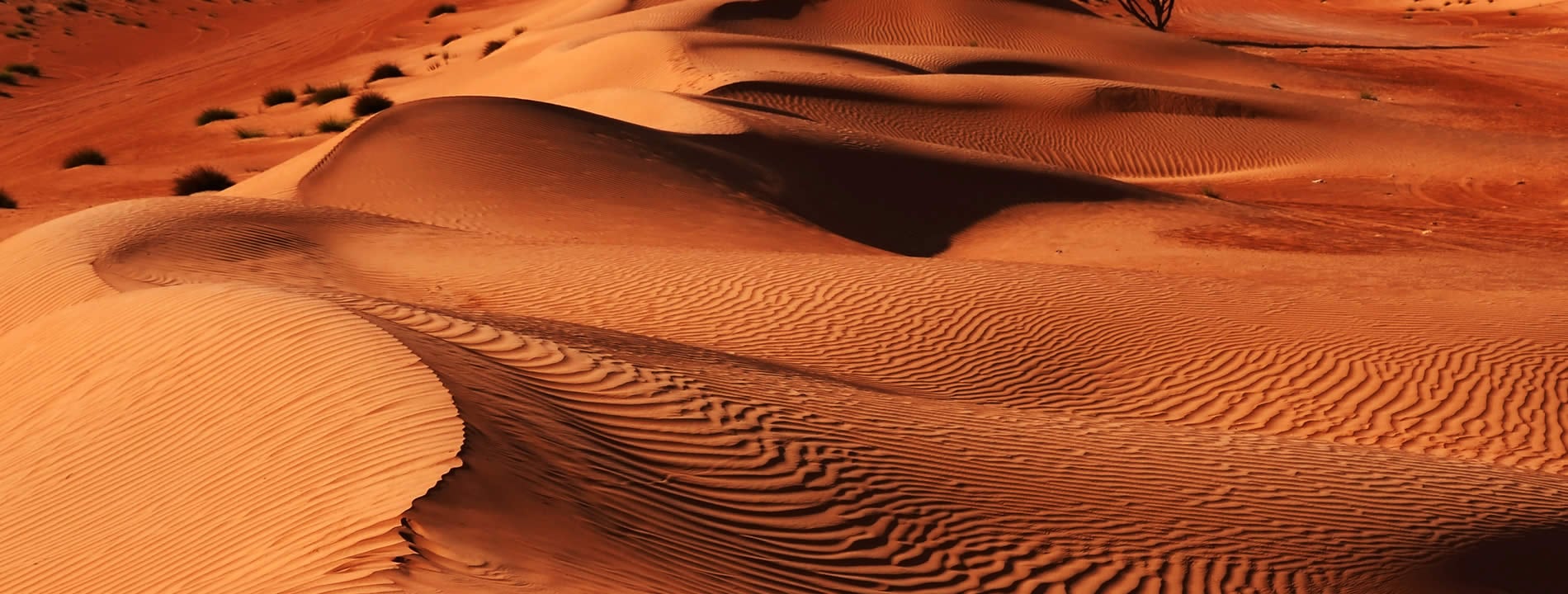 <p style="text-align:justify"><u><strong>Wahiba Sands</strong></u>, una delle mete preferite dell&#39;Oman, &egrave; uno dei deserti pi&ugrave; conosciuti dell&#39;Oman. Grazie all&#39;infinita distesa di dune dorate, questo deserto &egrave; considerato il pi&ugrave; suggestivo della penisola arabica.&nbsp;</p>
